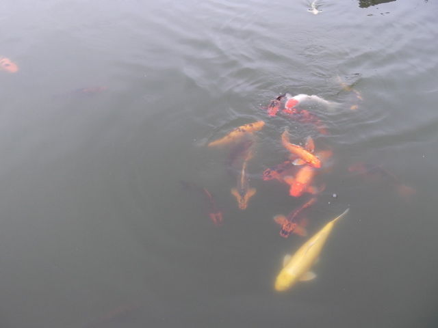 JOÊӂ邳Ɗὠeʐ^1