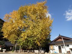 JOE̋Ղ̑ǂւ̓eʐ^1