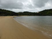 JOE����̉��M�C������̓��e�ʐ^1