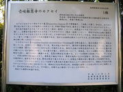 JOE����̕񉶎��̃��N�Z�C�̓��e�ʐ^1