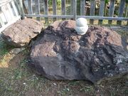 JOE����̍������̓��e�ʐ^1