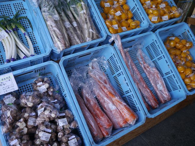 ���_���̉w���v��������