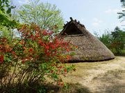 񂳂̗{𐻑ijH̓eʐ^1