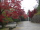hakさんの龍泉寺（岡山県岡山市）への投稿写真4