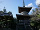 カメチャンさんの第１番札所霊山寺への投稿写真4