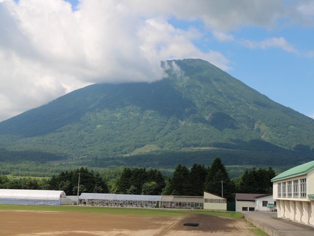 �^�덂�Z��蒭�߂�_�r���R