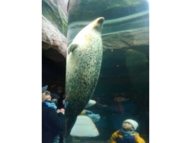 �唗��!!_���R������