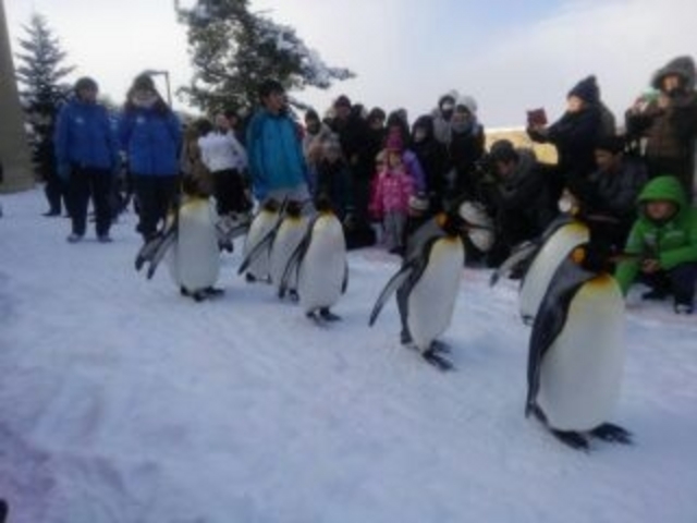 ���`���`�����ł��킢��!_���R������