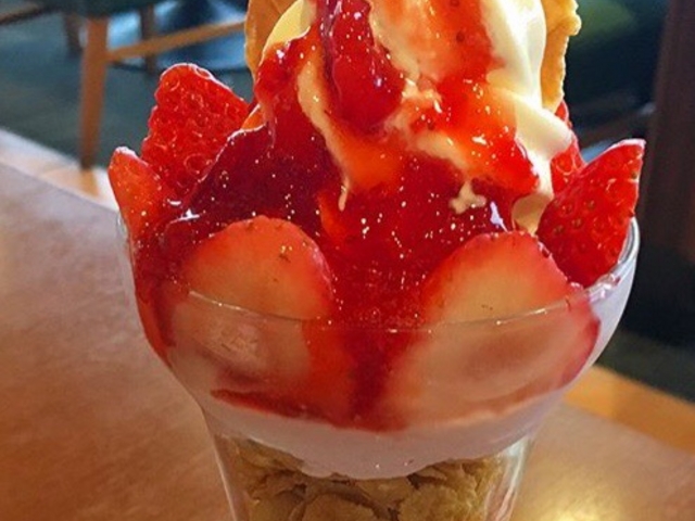 񂿂񂳂̃KXg X̓eʐ^1