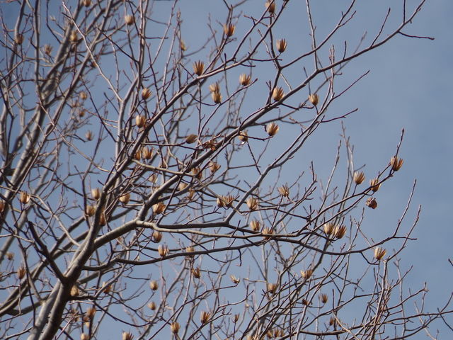 `[bv̂悤ȉԂ炭mL_t̐X