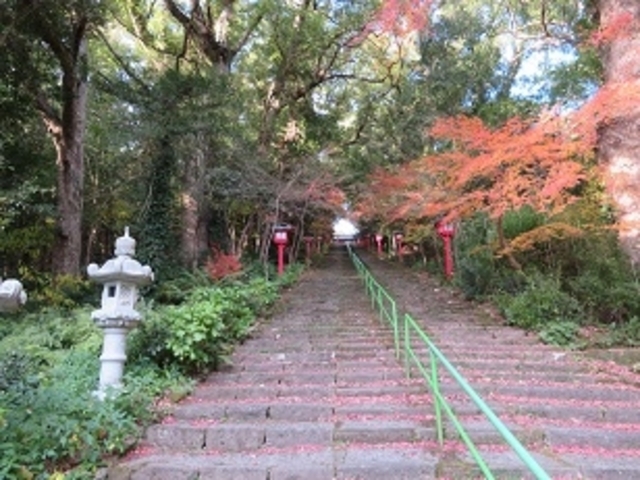 �g�t�̎c��V�c�_�Ђ̐Βi_�V�c�_��