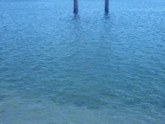 cJ擙X͂̏Zl̔颐_Ђւ̓eʐ^1