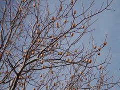 ݁B̐t̐Xւ̓eʐ^2