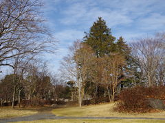 ݁B̐t̐Xւ̓eʐ^3