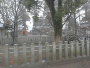 �T�r�L����̑���_�Ђ̓��e�ʐ^1