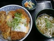 Xkvׂ̂Ƃ̃qC sX̓eʐ^1