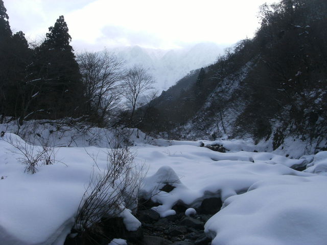 ���ʂɑ�R�̖k�ǂ������܂�_�΂̉͌�