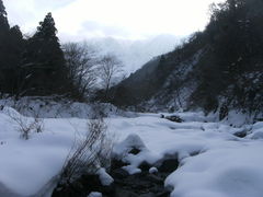 ibokorori΂̉͌ւ̓eʐ^1