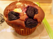 т̃X^[obNXER[q[ ۋ`QZgArX̓eʐ^1