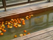 ̐lX̒lClxe{݁@iEόēj̓eʐ^2