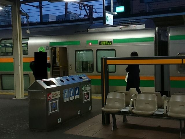 ���ˉw_�i�q���ˉw