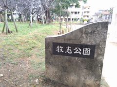 ͂܂肳̖quւ̓eʐ^1