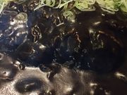 ~N̑DJ[ v󎛓X̓eʐ^1