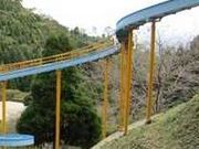 tXs[h̖ƃ}̋u̓eʐ^1