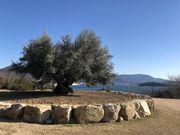 ҁ[̐NI[ueXuÑI[v̓eʐ^1