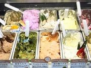 i̓WF[g&JtF@ISOLA̓eʐ^1