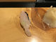 レナさんの日本料理・琉球料理 佐和の投稿写真1