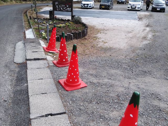 �p�C�����܂ł��킢���I_�_Life�������̑�