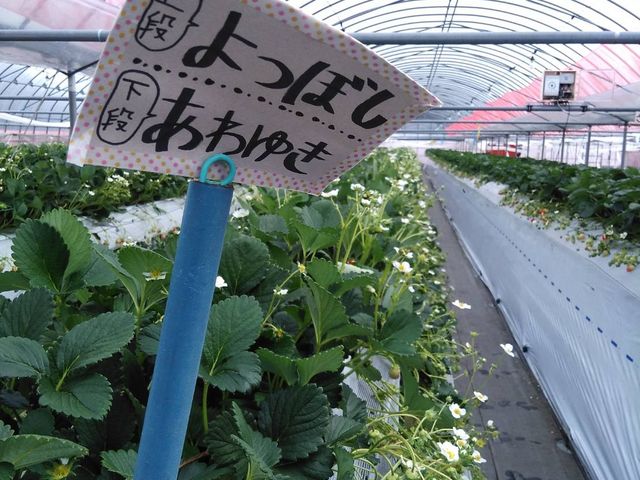 5��̂������������A��܂�_�_Life�������̑�