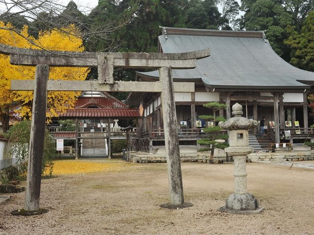 ӂ邳Ƒ̒Sɂu~鎛v_~ӂ邳Ƒ