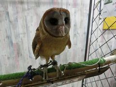 ҂̂ρ[@tNEJtFr܂ւ̓eʐ^1