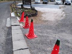 [YNbL[̔_Lifȇւ̓eʐ^3