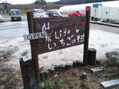 [YNbL[̔_Lifȇւ̓eʐ^4