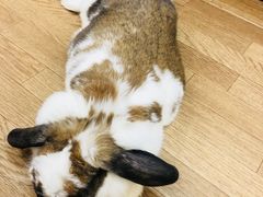 肳̂JtF@тсyr܁zւ̓eʐ^1