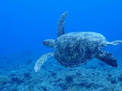 񂳂̓ʓ_CuTCgւ̓eʐ^1