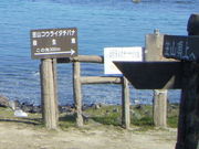 Ƃ̊}RREC^`oin̓eʐ^1