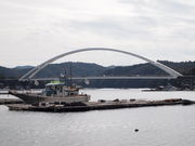 ˂񂳂̖̉Y勴̓eʐ^1