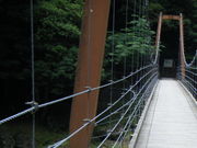 ���Ƃ���̐_�ː�̓��e�ʐ^1