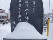 ^{剤̐ΐ؉̔̓eʐ^1