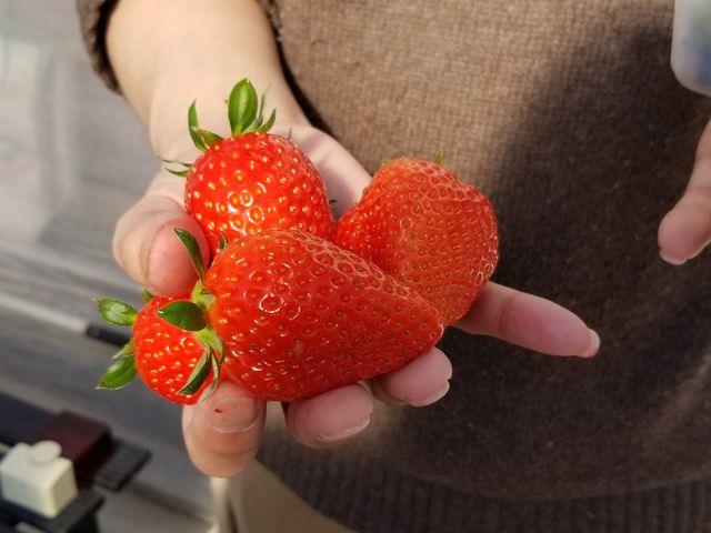 �Â��Ă��������_�֍��_��