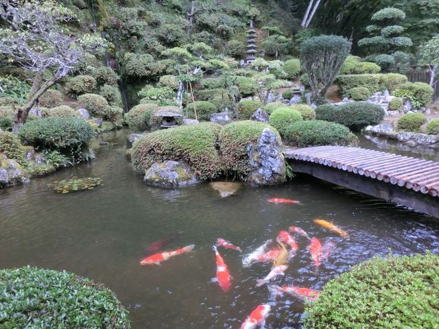 DoubleO7̉i뉀̓eʐ^1