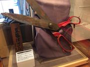 䂫Ȃ̍`YƉق̓eʐ^1