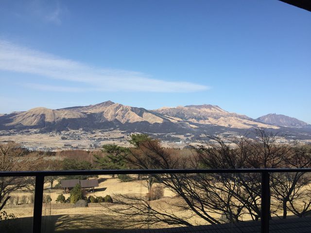 iF͍ōłI_zeO[sA숢h