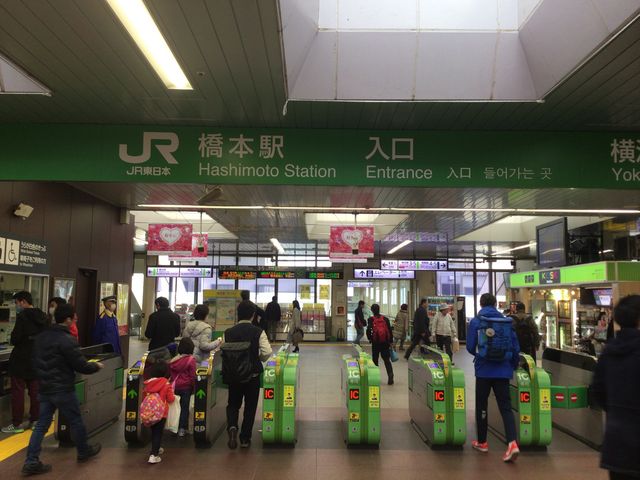 ���{_�i�q���{�w