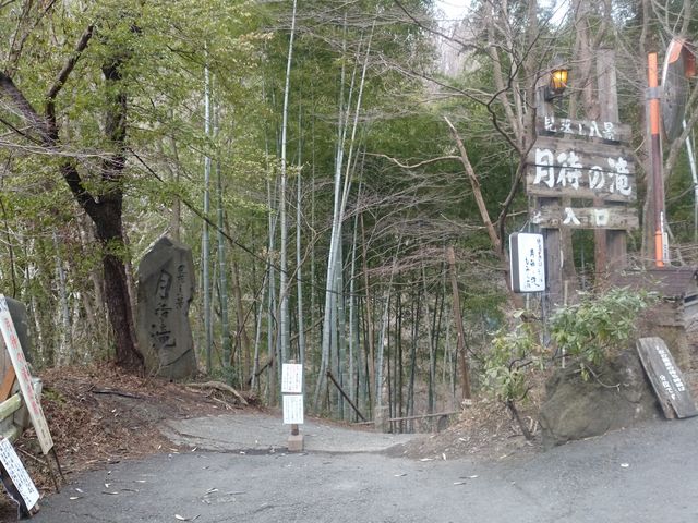 ���҂̑���݂���