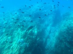 junkõEGXg}ւ̓eʐ^1